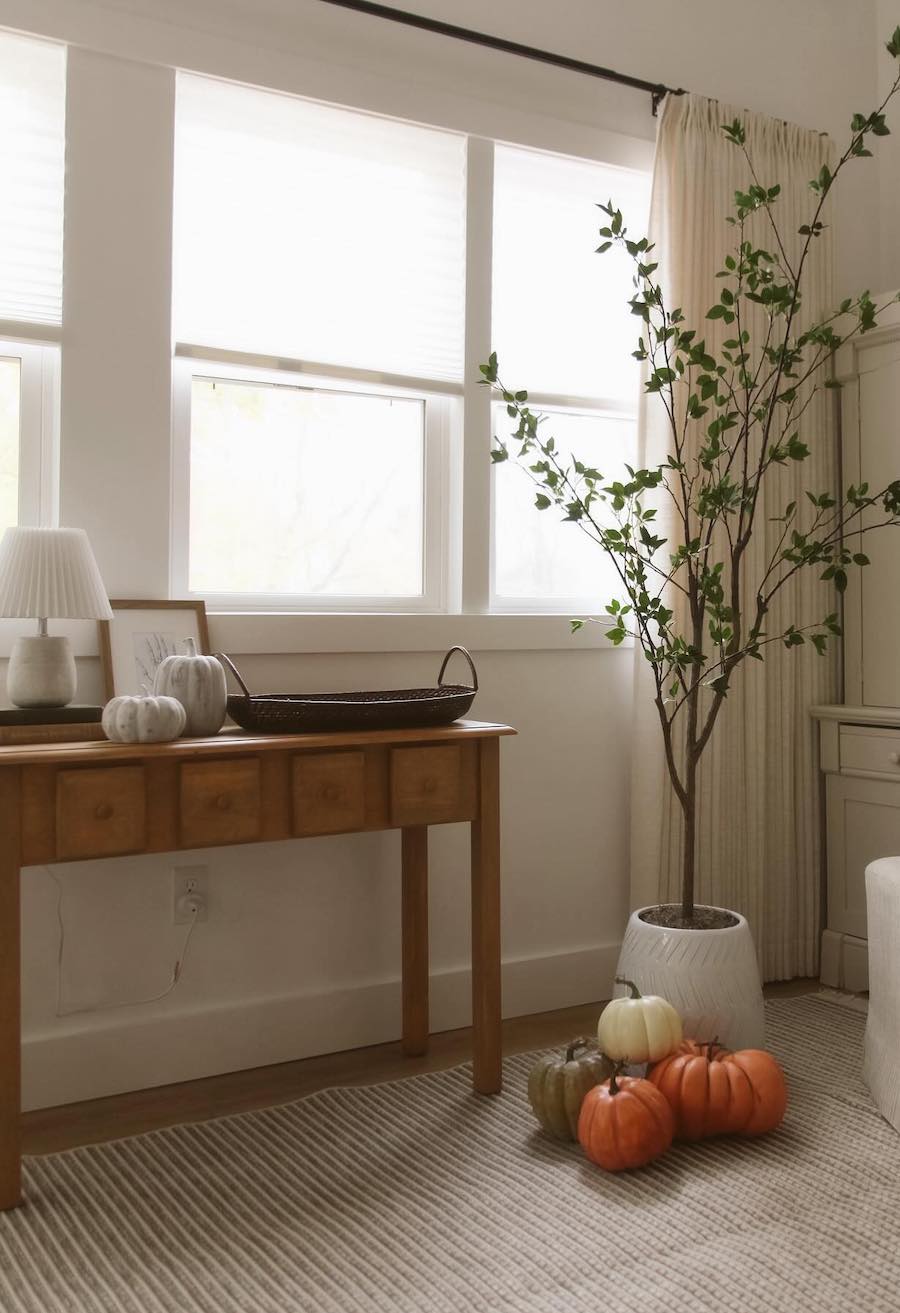 a living room featuring a large tree, pumpkins, and farmhouse decor