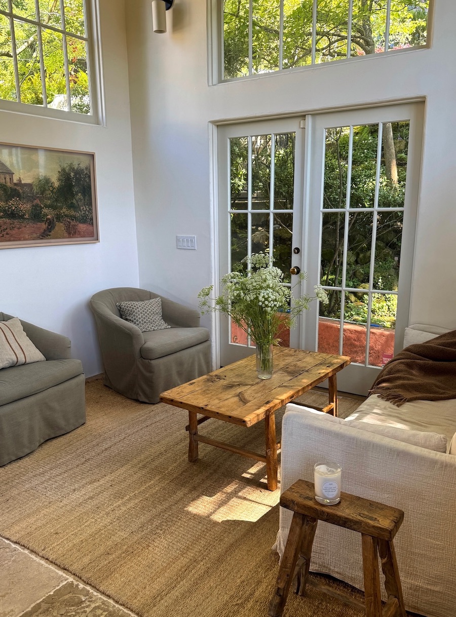 a living room featuring earthy shades and simple natural decor