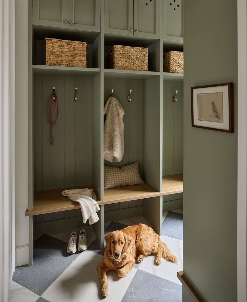 a mudroom painted an earthy green with cubbies, benches, and hooks